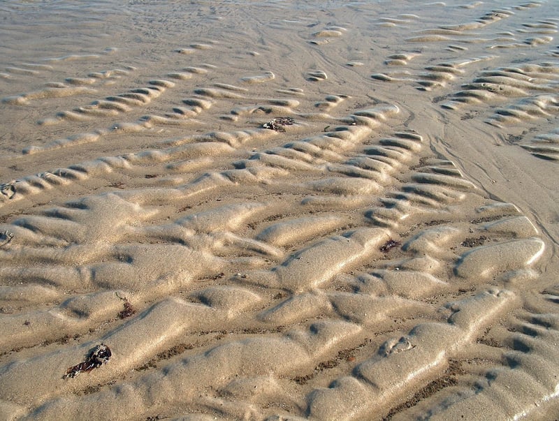 Map of the Netherlands